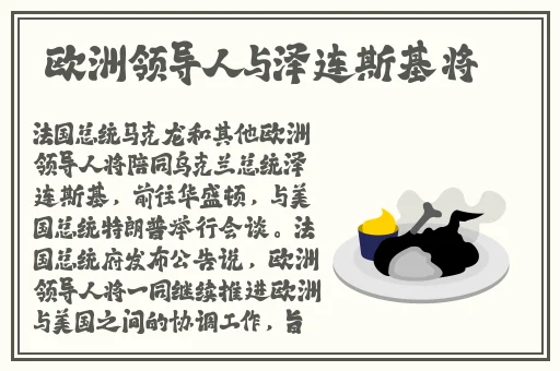 雷电将军乳液VX网站破解版